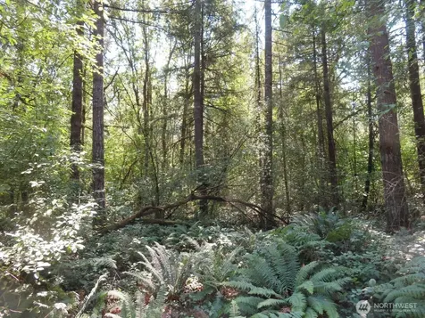 115 Campground Lane Winlock WA 98596