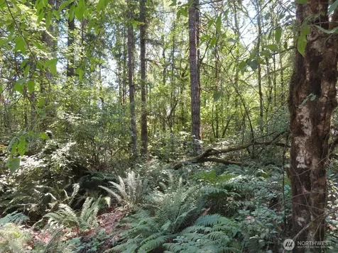 115 Campground Lane Winlock WA 98596