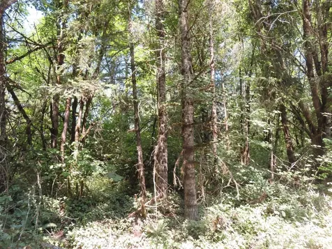 115 Campground Lane Winlock WA 98596