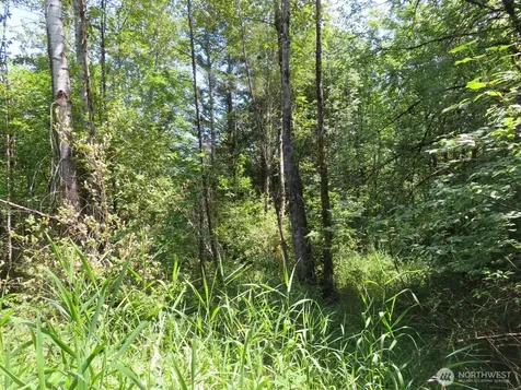 115 Campground Lane Winlock WA 98596