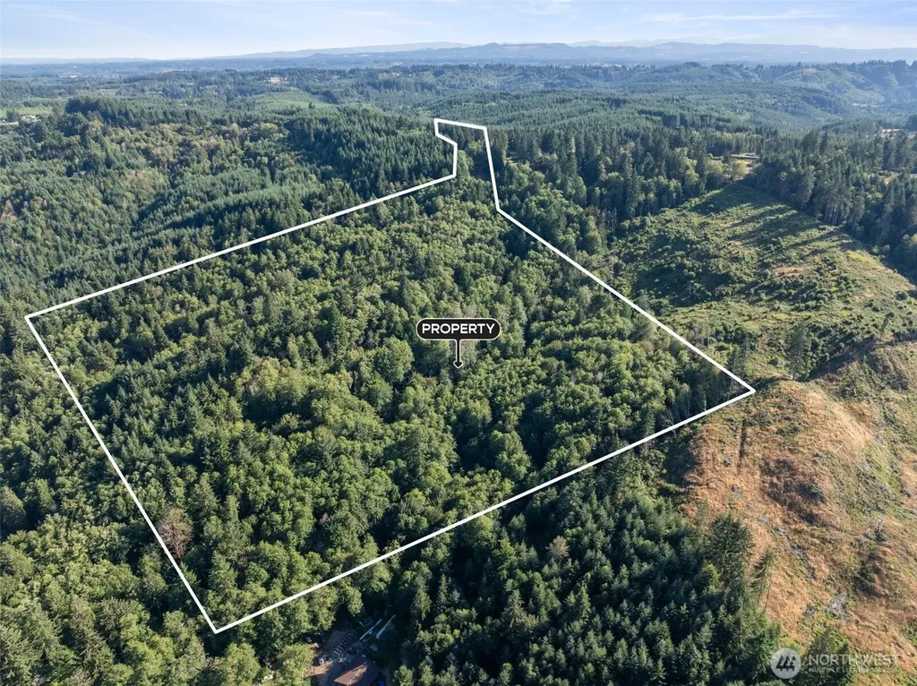 541 Centralia Alpha Road Chehalis WA 98532
