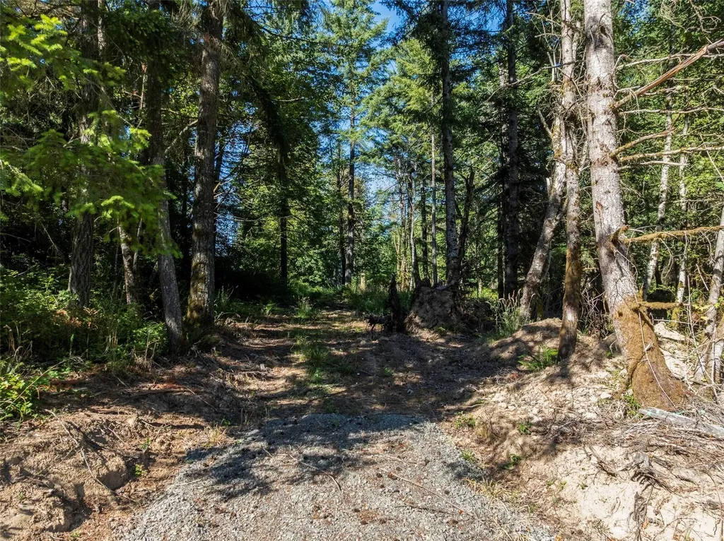 541 Centralia Alpha Road Chehalis WA 98532