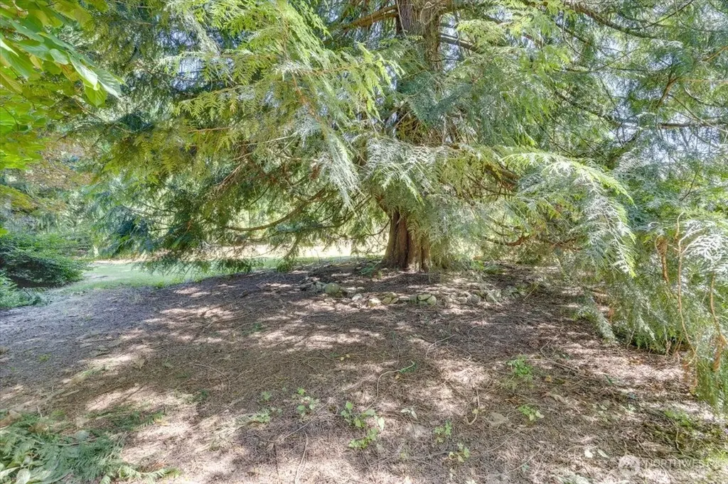 1816 113th Drive SE Lake Stevens WA 98258