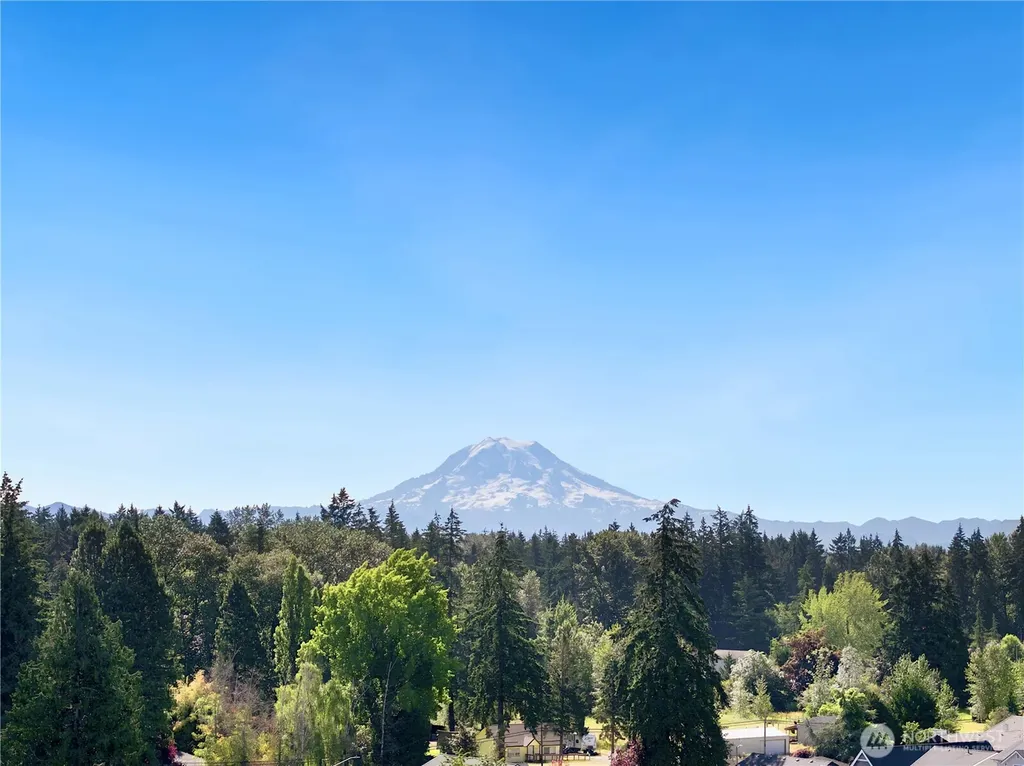 11719 9th Avenue Ct E Tacoma WA 98445