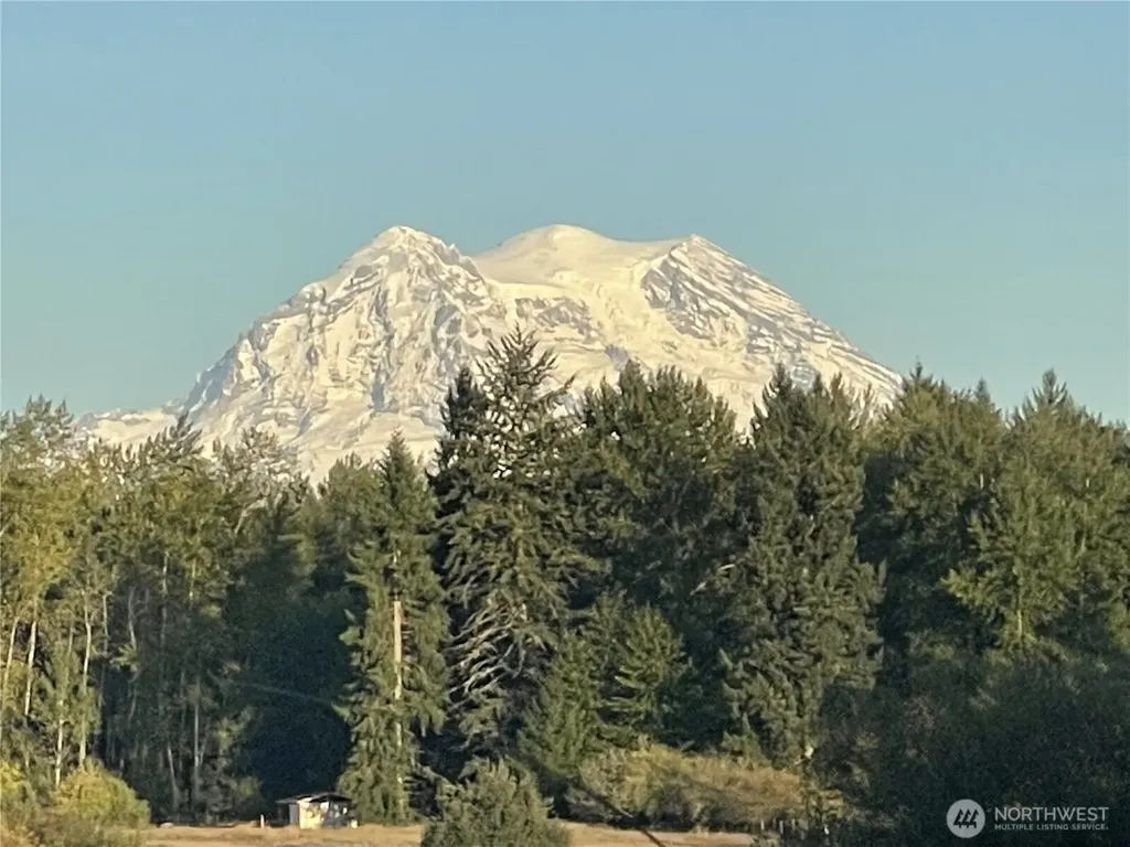 33913 4th Avenue E Roy WA 98580