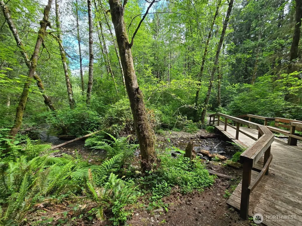 22208 Bluewater Court SE Yelm WA 98597