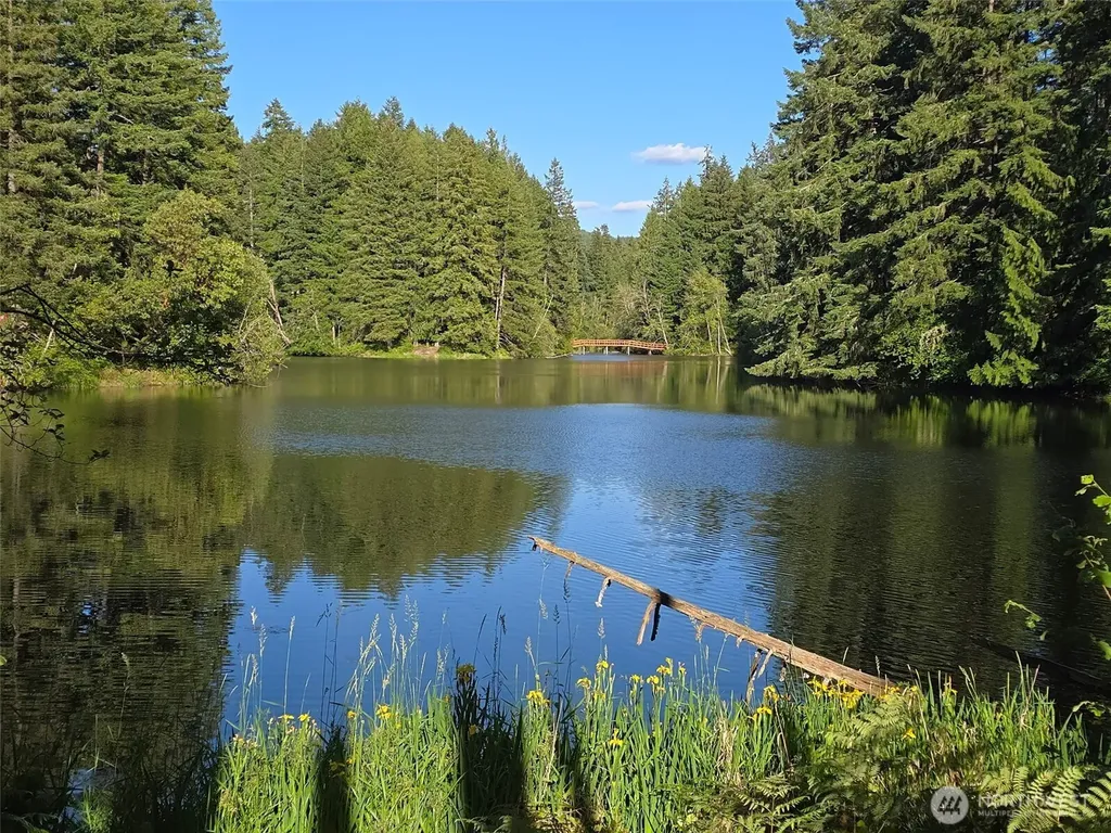 22208 Bluewater Court SE Yelm WA 98597