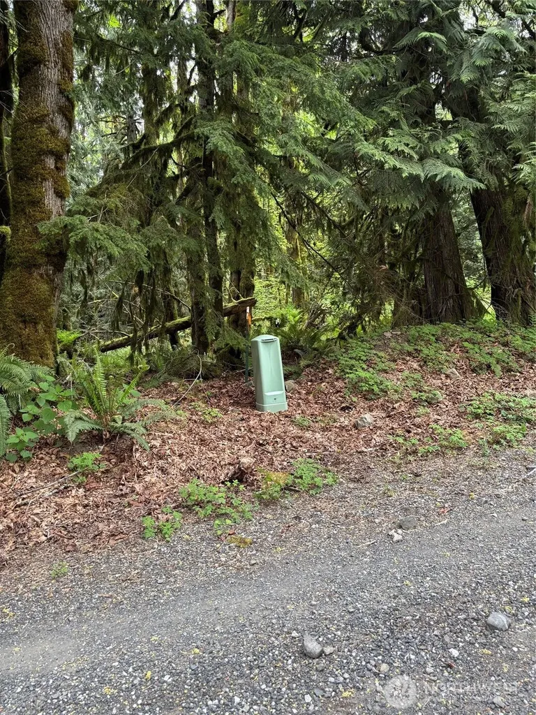 0 Upper Frost Creek Road Maple Falls WA 98266