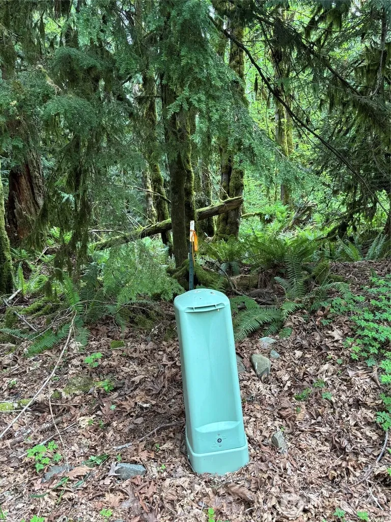 0 Upper Frost Creek Road Maple Falls WA 98266
