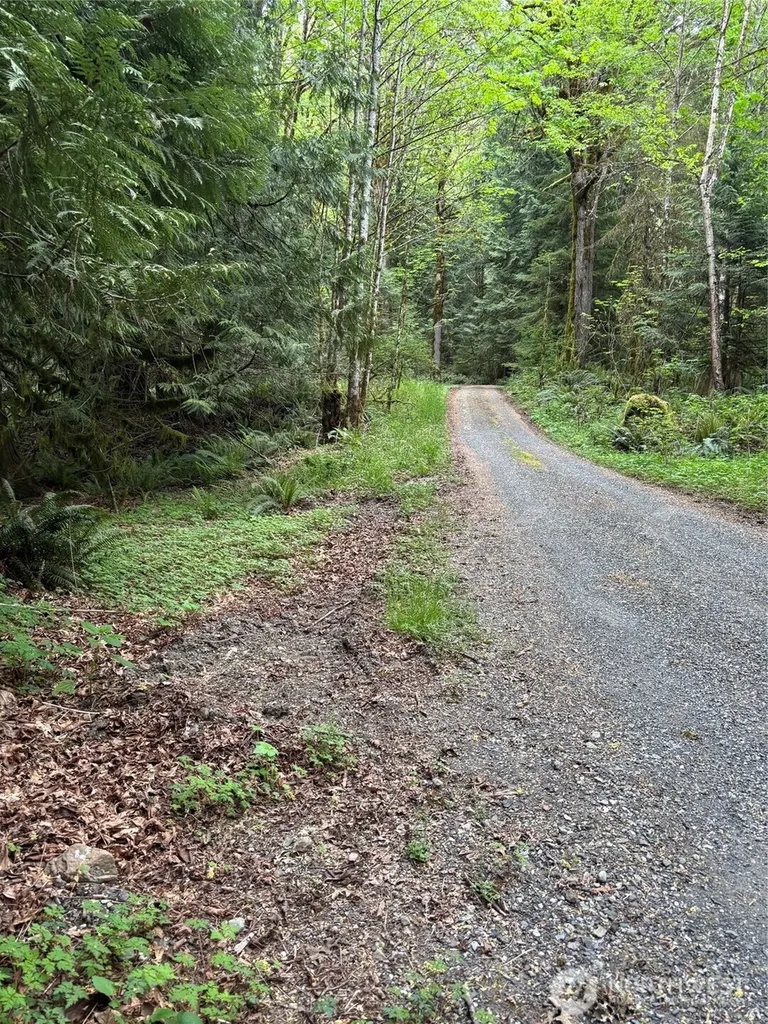 0 Upper Frost Creek Road Maple Falls WA 98266