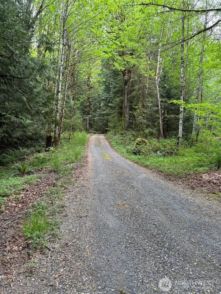 0 Upper Frost Creek Road Maple Falls WA 98266