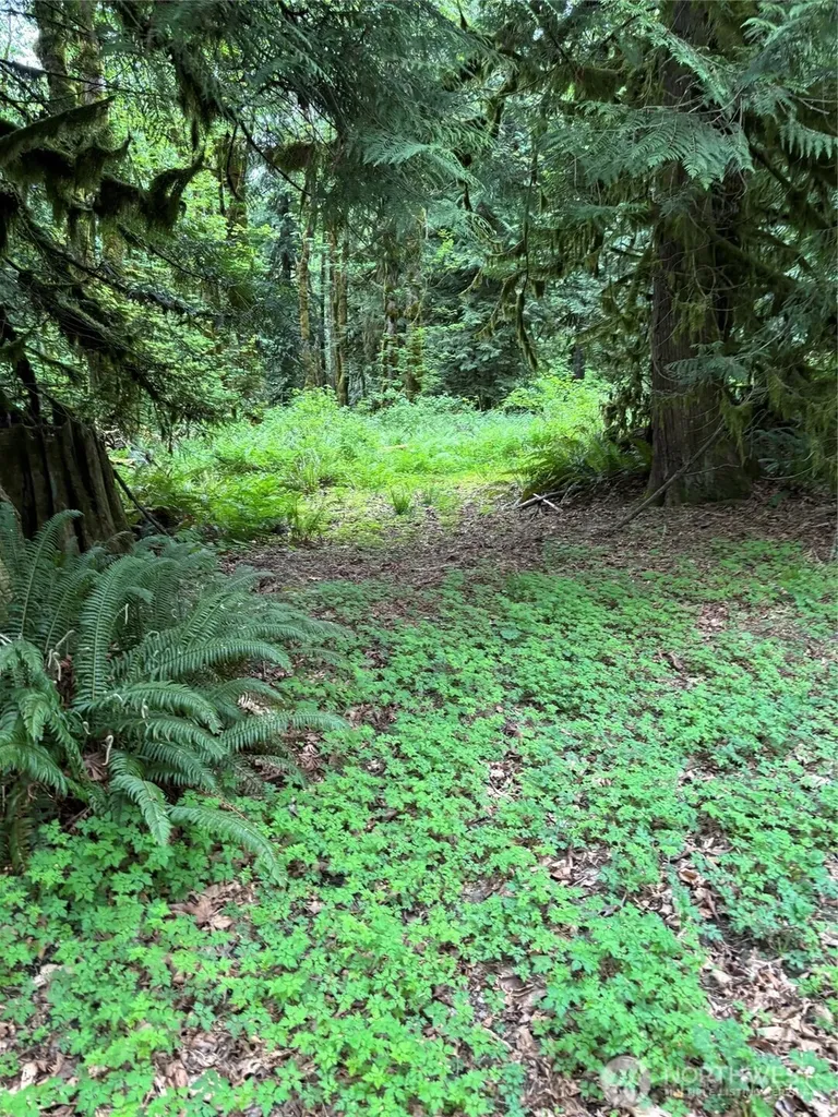 0 Upper Frost Creek Road Maple Falls WA 98266