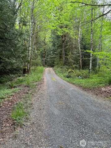 0 Upper Frost Creek Road Maple Falls WA 98266