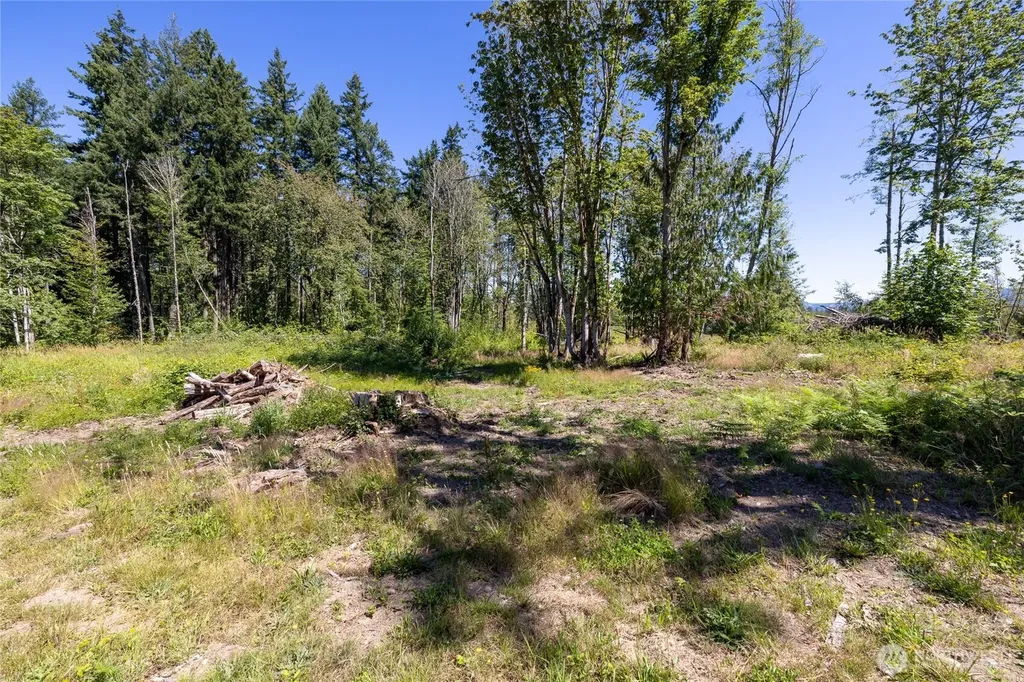29427 Orting Kapowsin Highway E Graham WA 98338