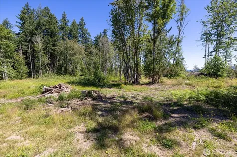 29427 Orting Kapowsin Highway E Graham WA 98338