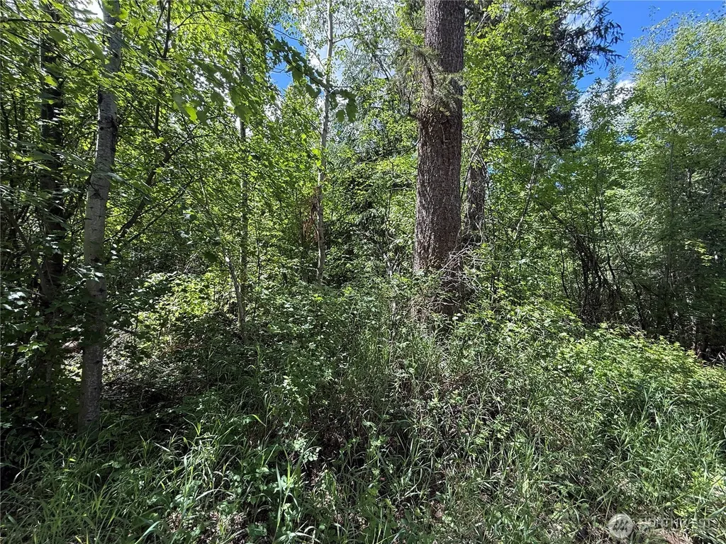 42 Tedesco Road Republic WA 99166