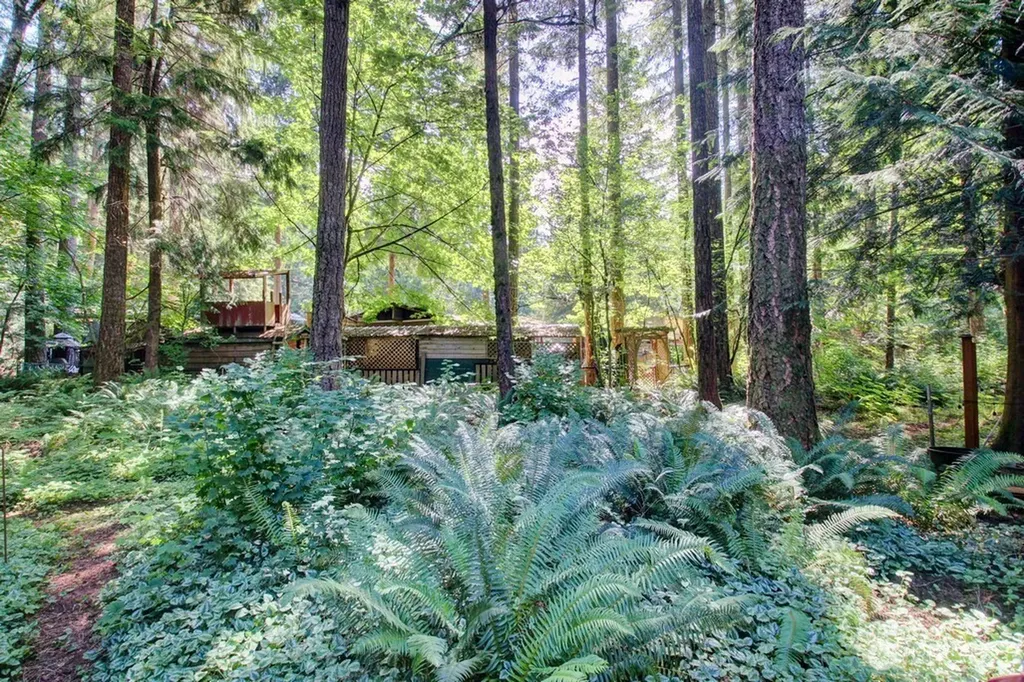 1120 Alder Lane Maple Falls WA 98266