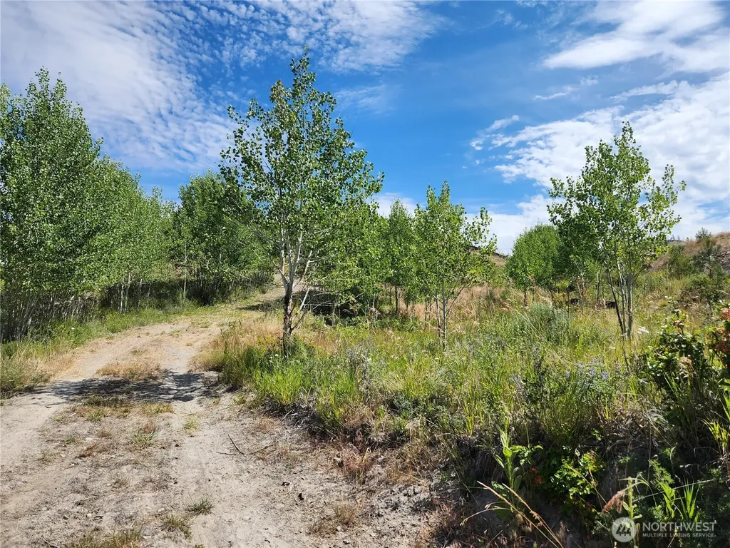 94 Allen Drive Oroville WA 98859