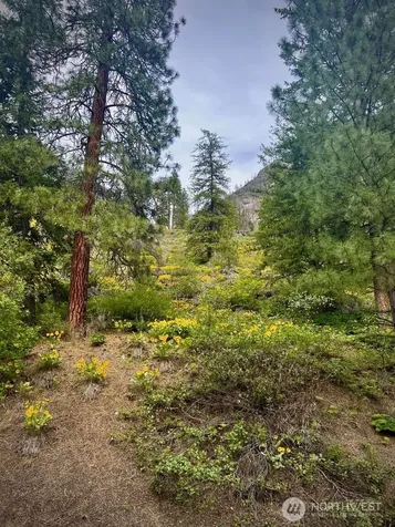 4 Susan Road Okanogan WA 98833