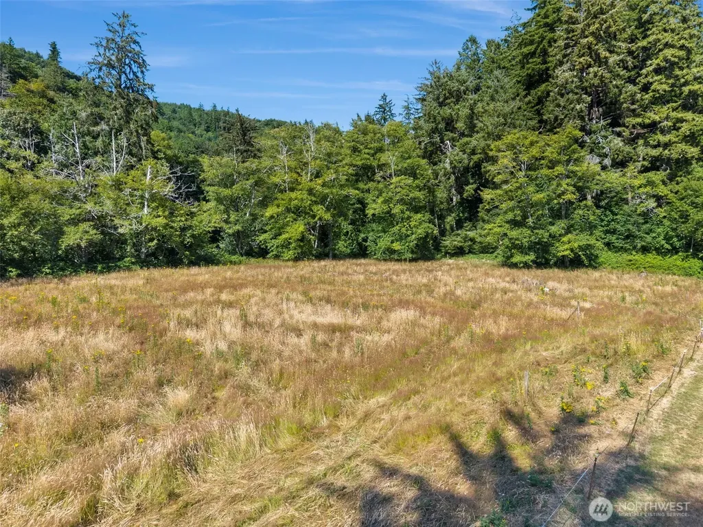 22 Pollari Road Raymond WA 98577
