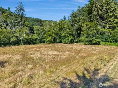 22 Pollari Road Raymond WA 98577