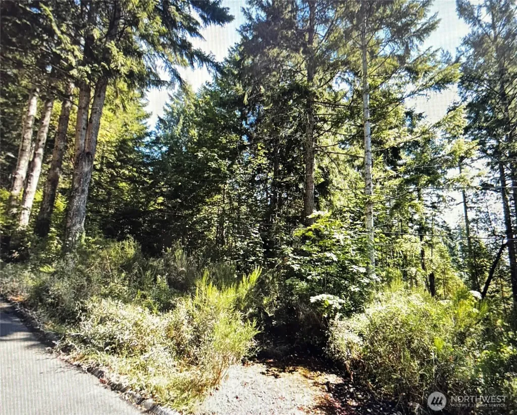 110 Marine View Drive Belfair WA 98528