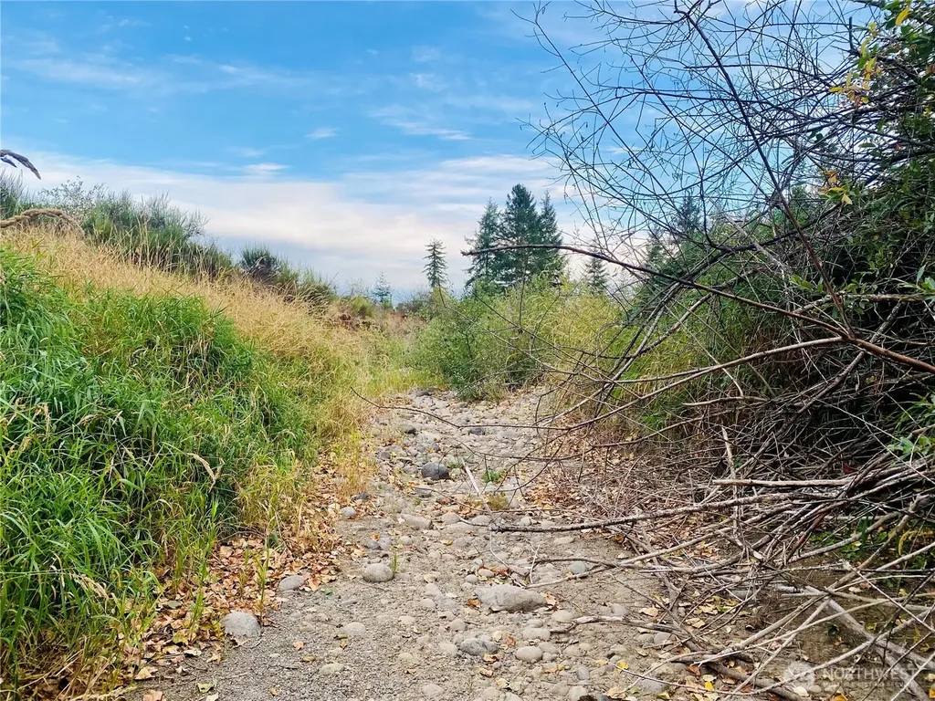 3444 W Matlock-brady Road Elma WA 98541