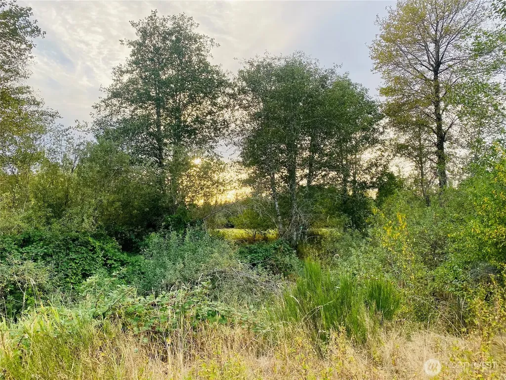 3444 W Matlock-brady Road Elma WA 98541