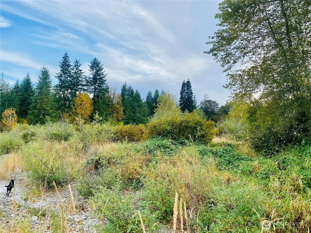 3444 W Matlock-brady Road Elma WA 98541
