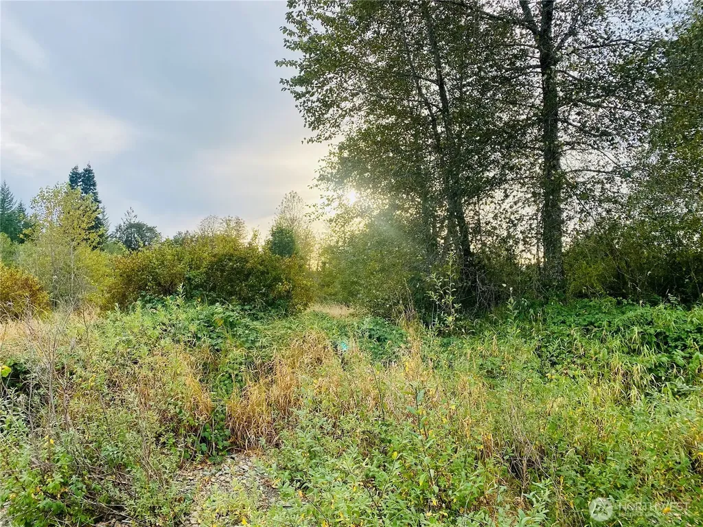 3444 W Matlock-brady Road Elma WA 98541