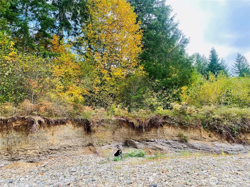 3444 W Matlock-brady Road Elma WA 98541