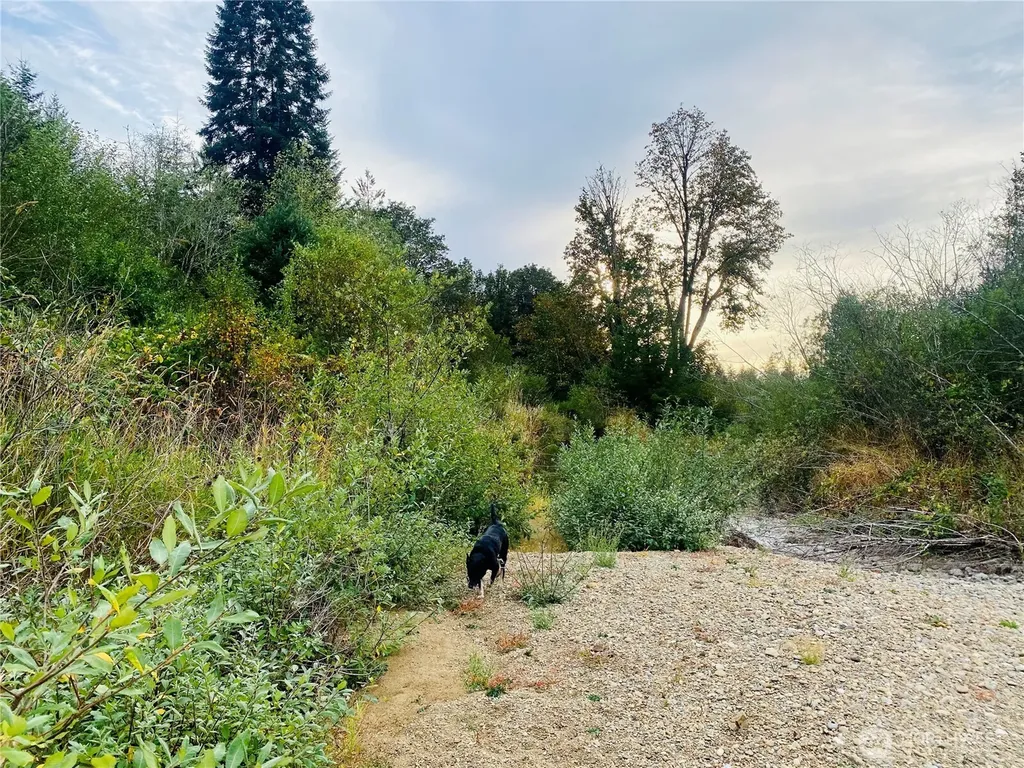 3444 W Matlock-brady Road Elma WA 98541