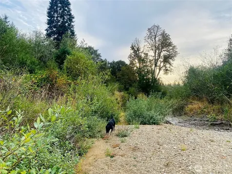 3444 W Matlock-brady Road Elma WA 98541