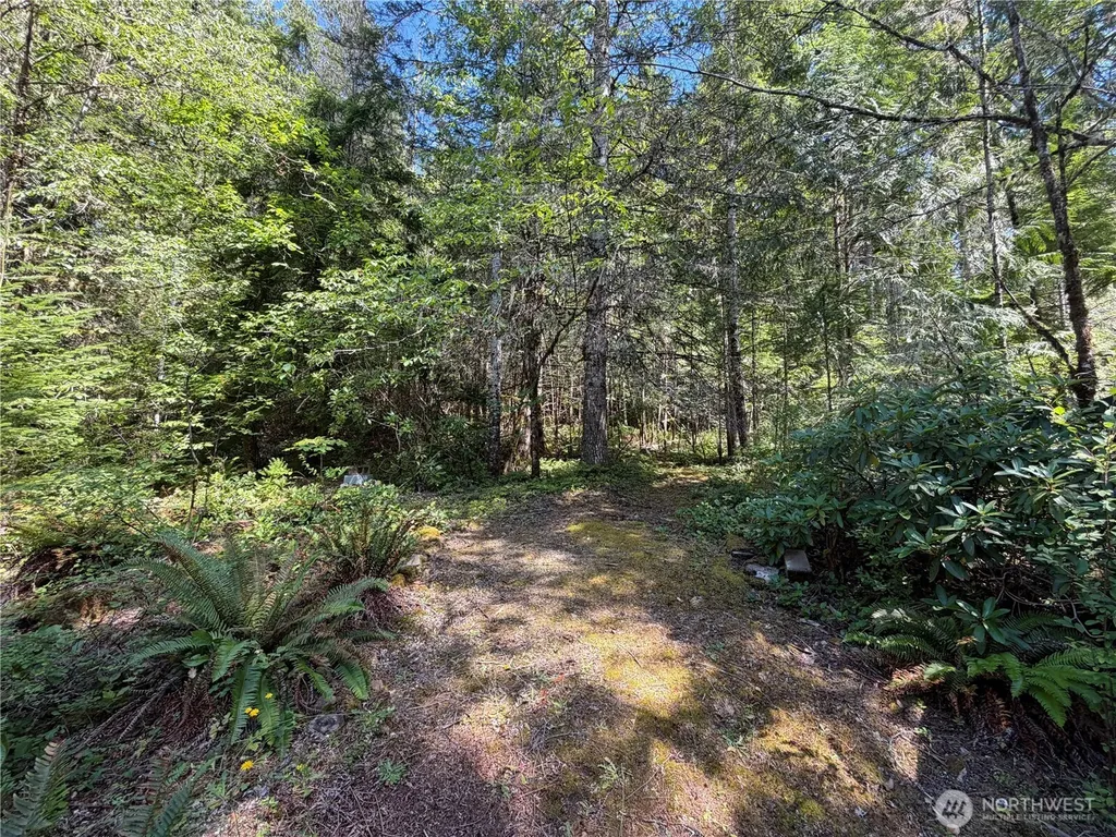 10 Creek Court Brinnon WA 98320