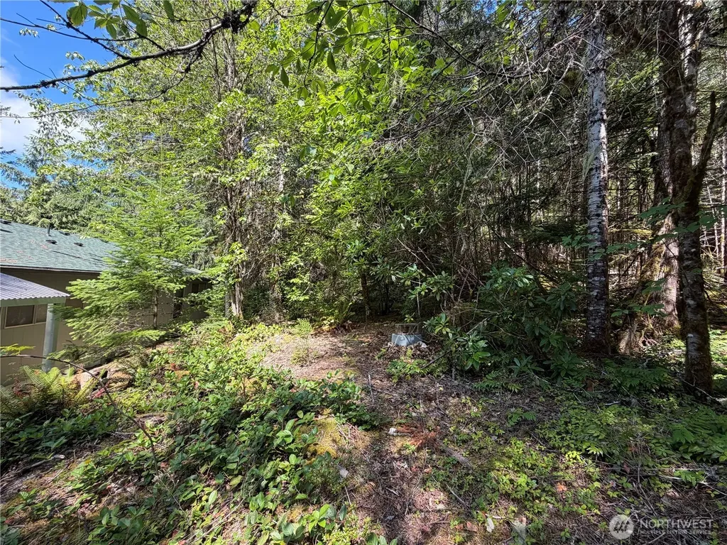 10 Creek Court Brinnon WA 98320
