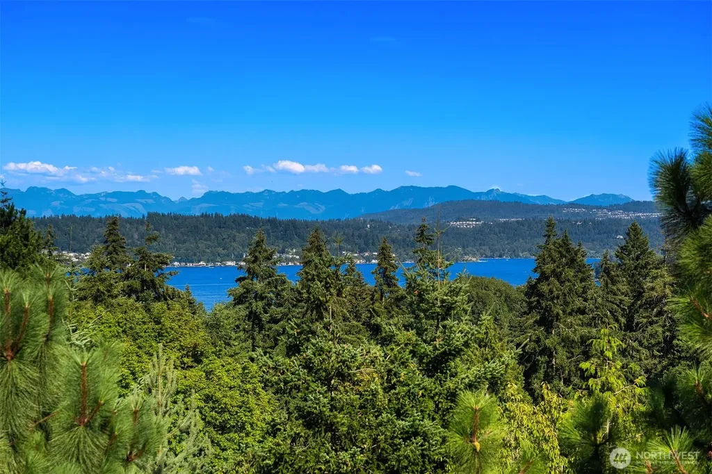 3410 161st Court E Bellevue WA 98008