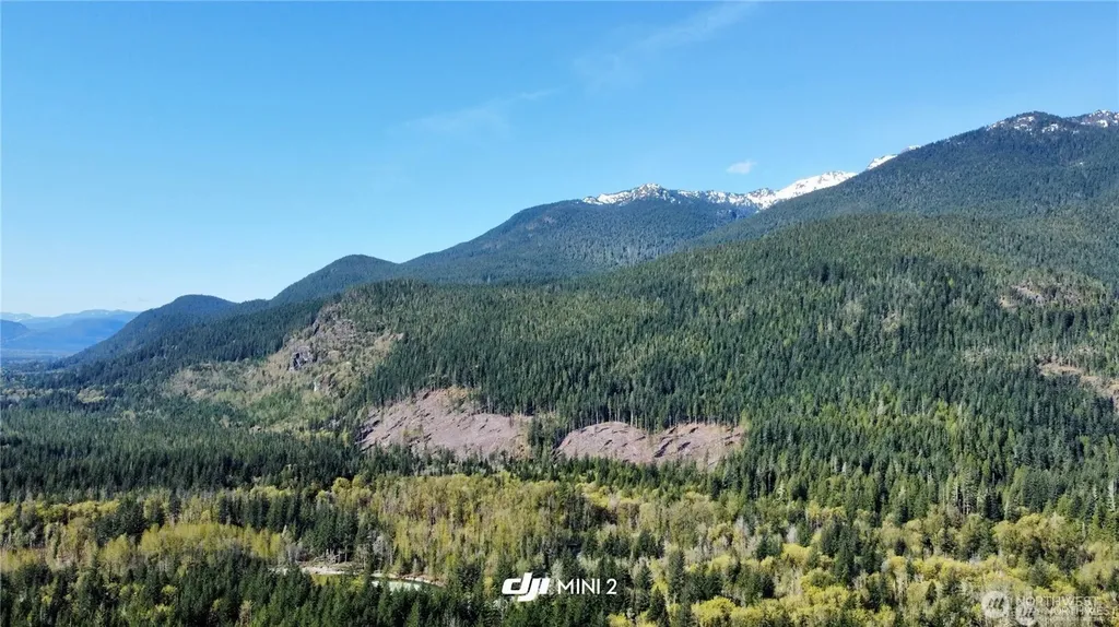 61164 Dexter Lane Marblemount WA 98267
