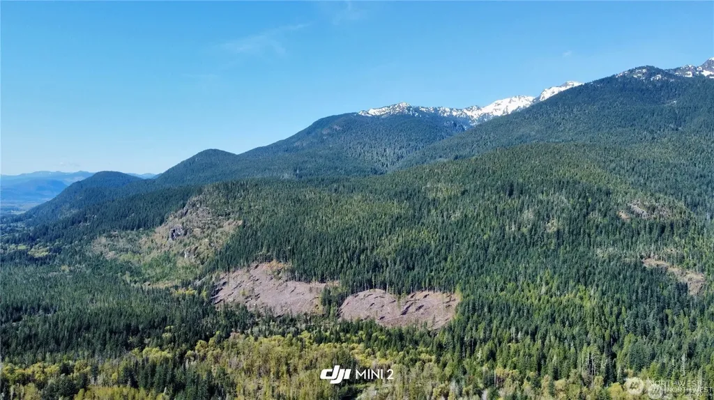 61164 Dexter Lane Marblemount WA 98267