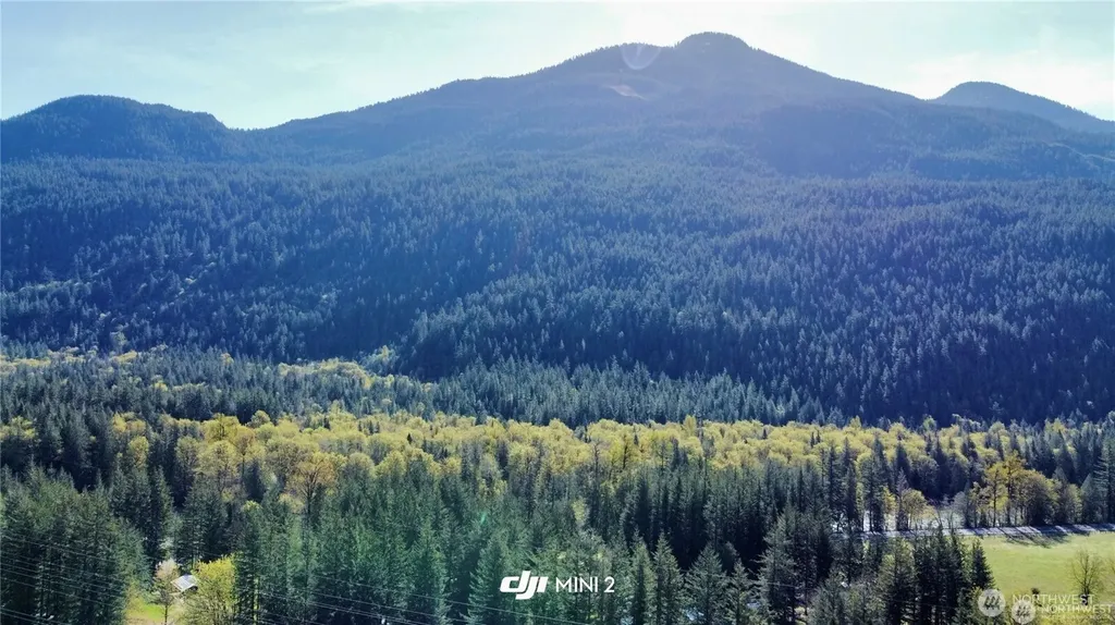 61164 Dexter Lane Marblemount WA 98267