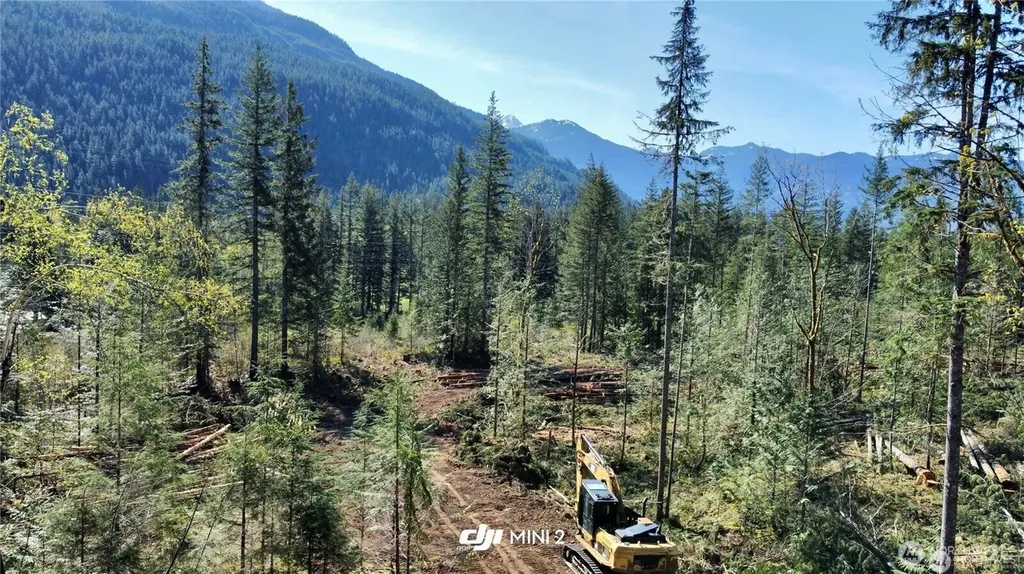 61120 Dexter Lane Marblemount WA 98267