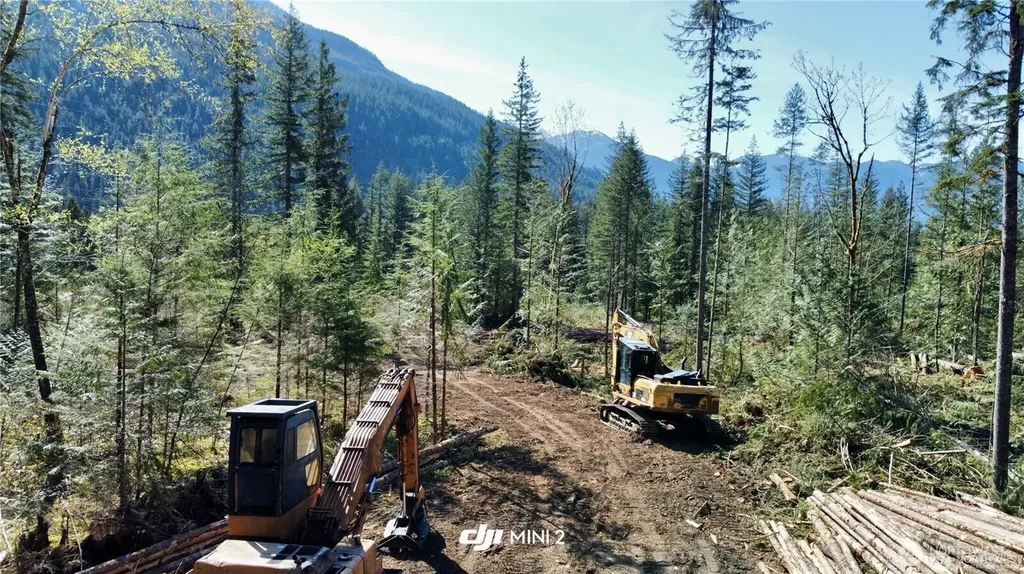 61120 Dexter Lane Marblemount WA 98267