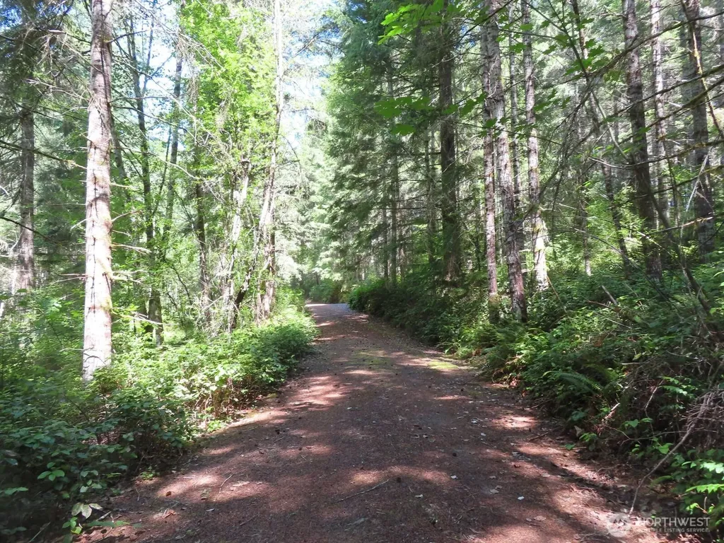 419 Meskill Road Chehalis WA 98532