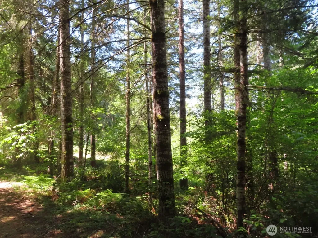 419 Meskill Road Chehalis WA 98532