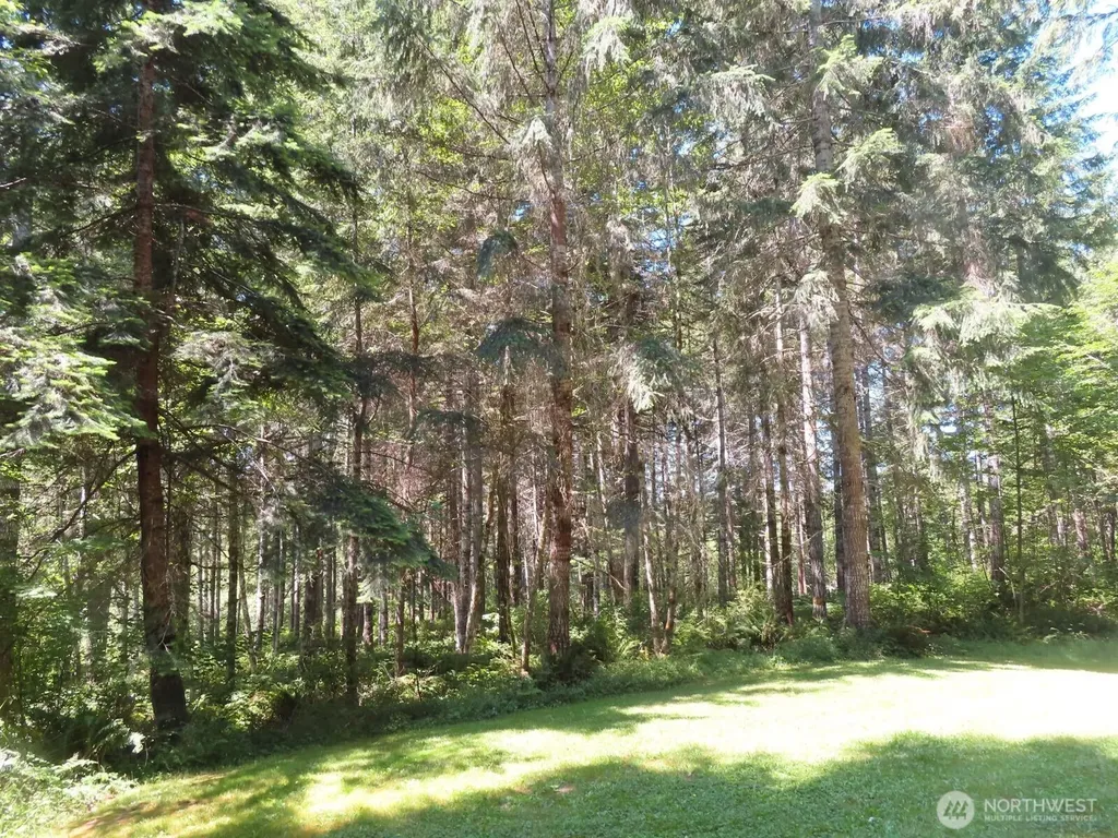 419 Meskill Road Chehalis WA 98532