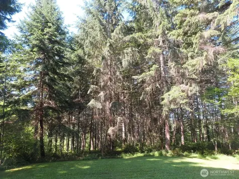 419 Meskill Road Chehalis WA 98532