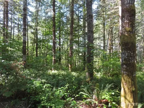 419 Meskill Road Chehalis WA 98532