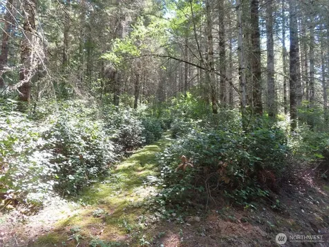 419 Meskill Road Chehalis WA 98532
