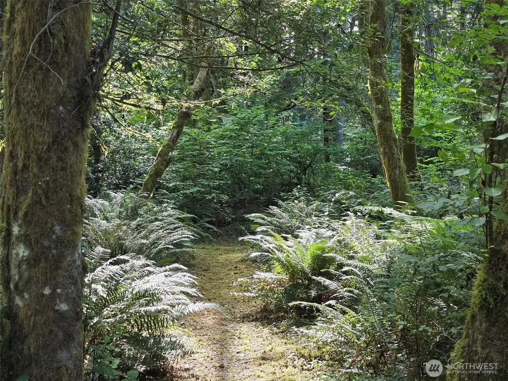 23601 Landers Road SW Vashon WA 98070