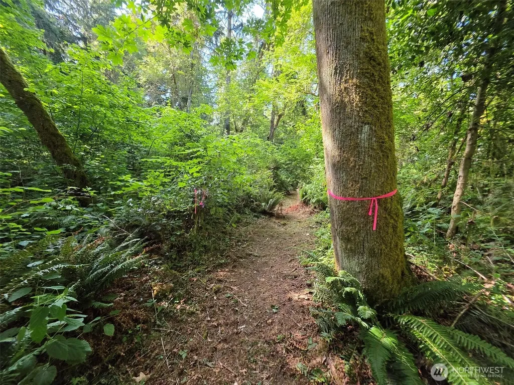 23601 Landers Road SW Vashon WA 98070