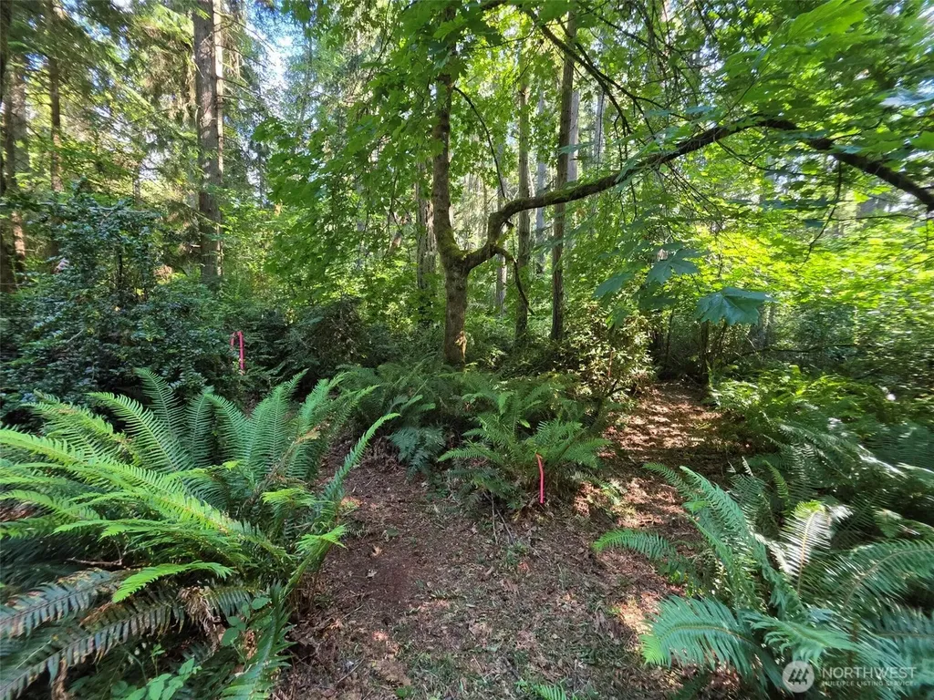 23601 Landers Road SW Vashon WA 98070